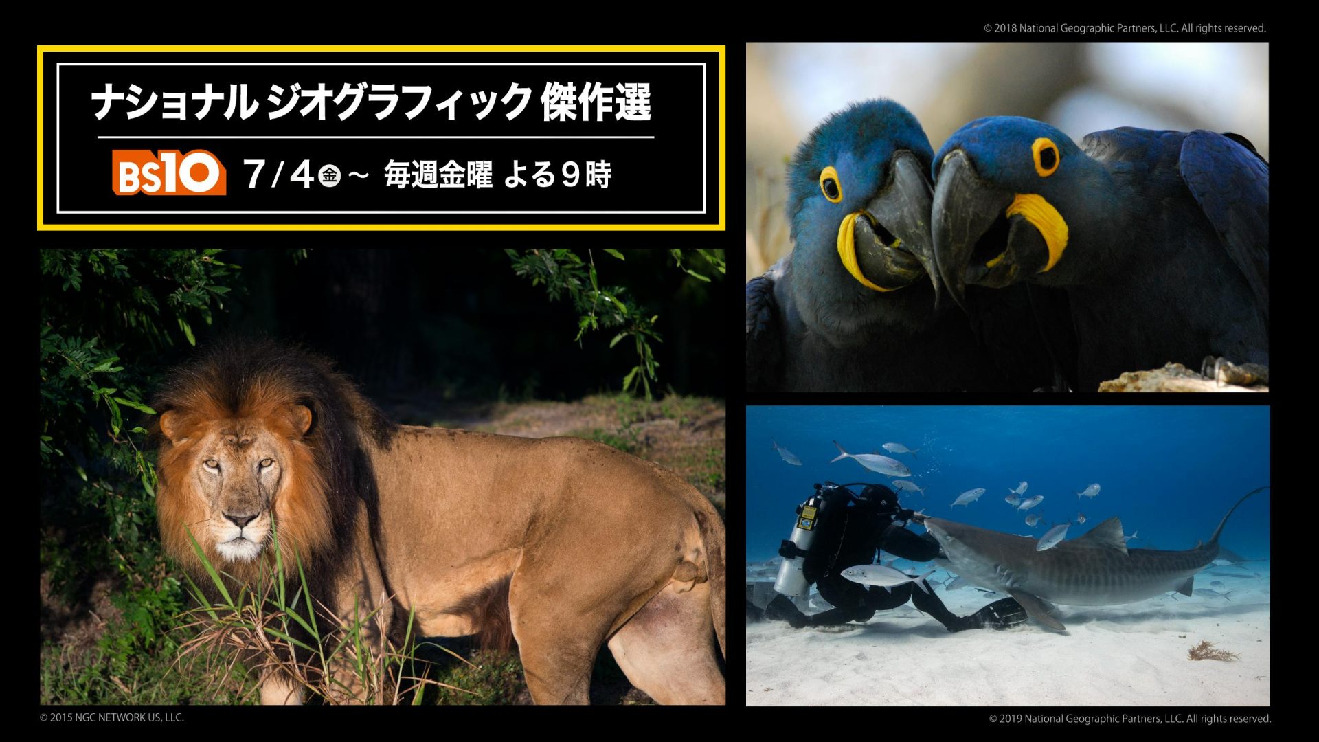 ナショナル ジオグラフィック傑作選」7/4(金)～毎週金曜よる9時に無料 