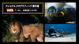 「ナショナル ジオグラフィック傑作選」7/4(金)～毎週金曜よる９時に無料放送！動物好き必見の7月・8月放送ラインナップも公開！