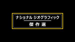 ナショナル ジオグラフィック傑作選